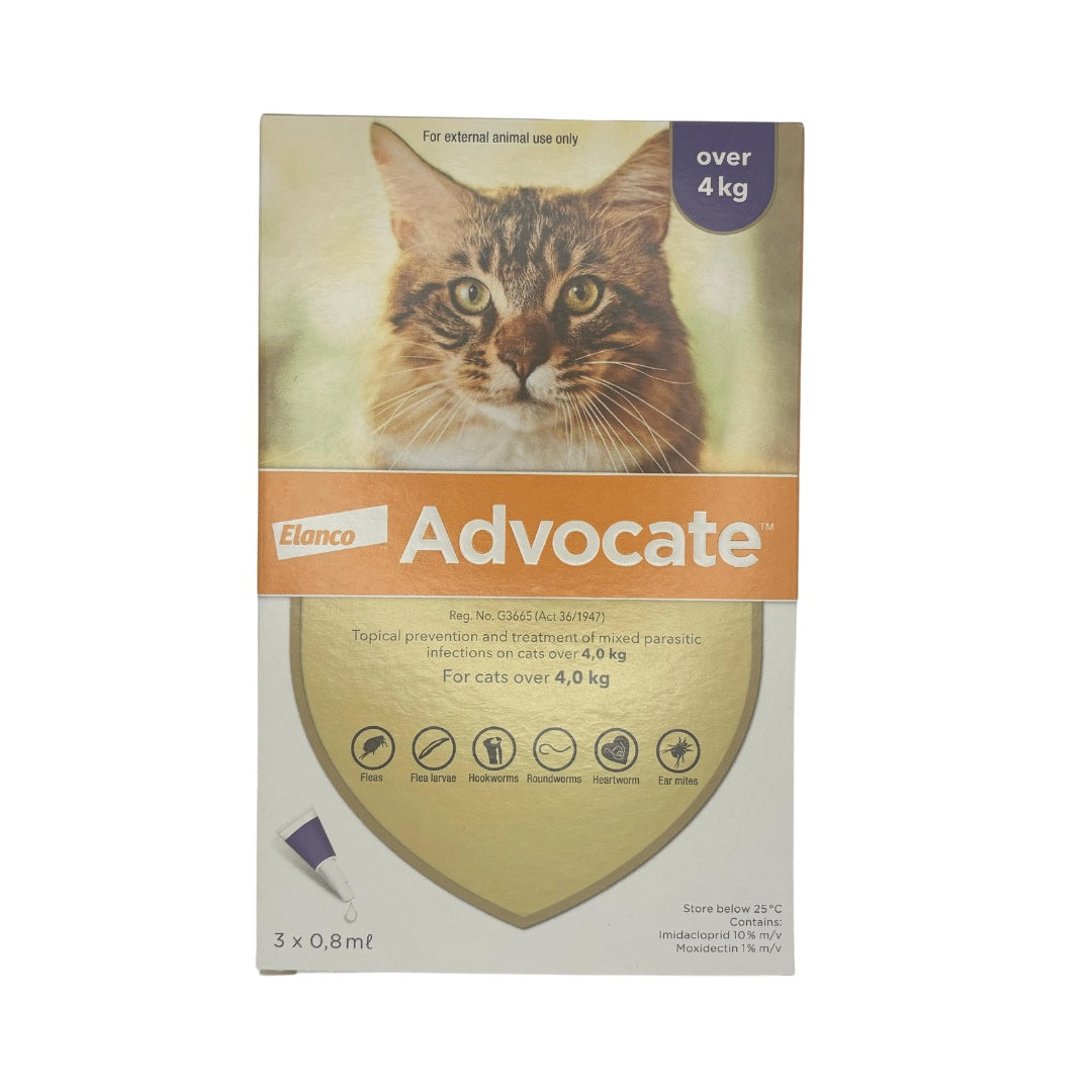 Advocate Spot-On for Cats Over 4kg (3 Pipette's) Purple – Kennel Depot