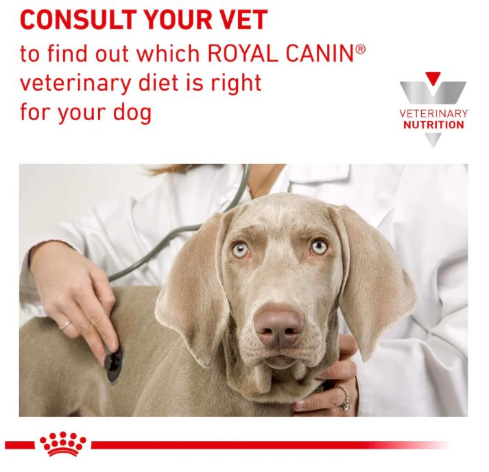 Royal Canin Veterinary Diet Renal Adult Dog Wet Food 410g x 12