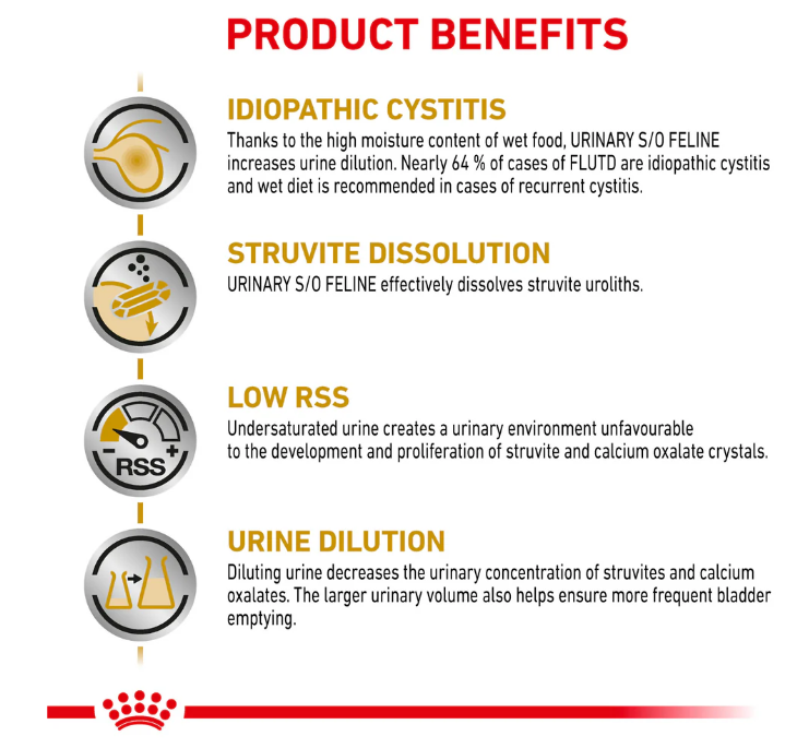 Royal Canin Veterinary Diet Urinary S/O Adult Cat Wet Food 85g x 12