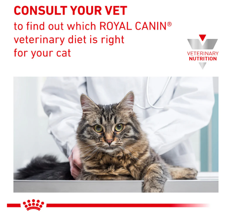 Royal Canin Veterinary Diet Urinary S/O Adult Cat Wet Food 85g x 12