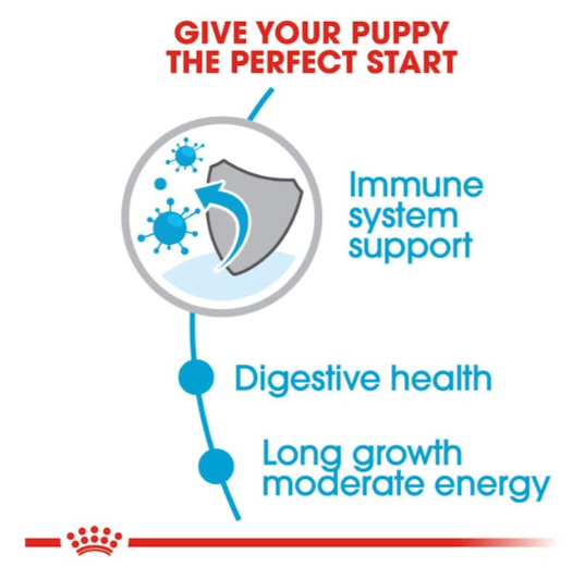 Royal Canin Size Health Nutrition Maxi Puppy Dog Dry Food 4kg
