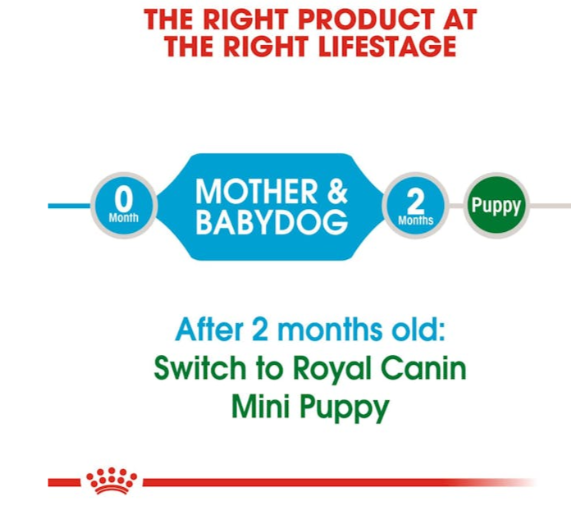 Royal Canin Size Health Nutrition Mini Starter Mother & Babydog Dry Food 1kg