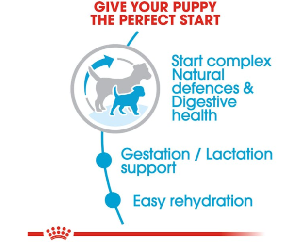 Royal Canin Size Health Nutrition Mini Starter Mother & Babydog Dry Food 1kg