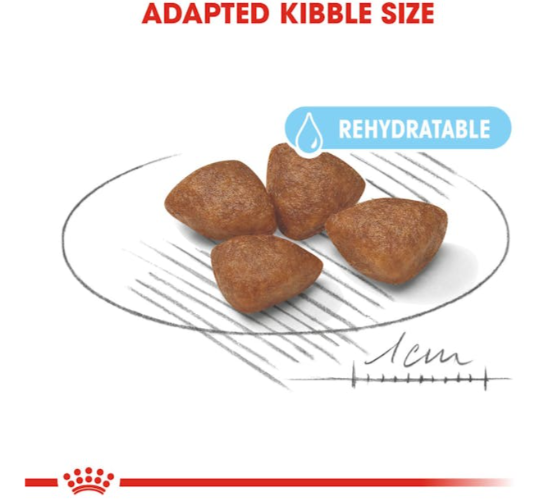 Royal Canin Size Health Nutrition Mini Starter Mother & Babydog Dry Food 1kg