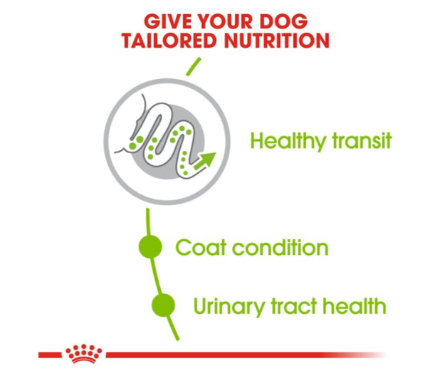 Royal Canin Size Health Nutrition X-Small Adult Dog Dry Food 500g