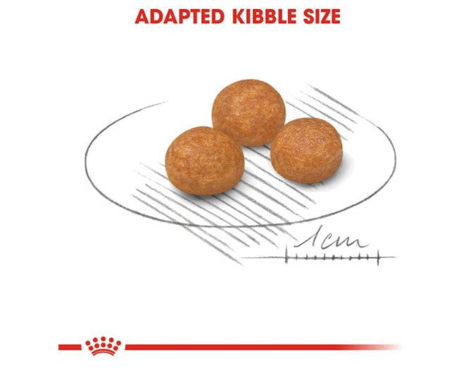 Royal Canin Size Health Nutrition X-Small Adult Dog Dry Food 500g