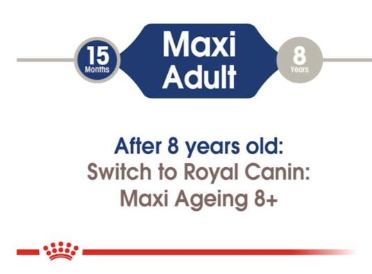 Royal Canin Size Health Nutrition Maxi Adult Dog Wet Food 140g x 10