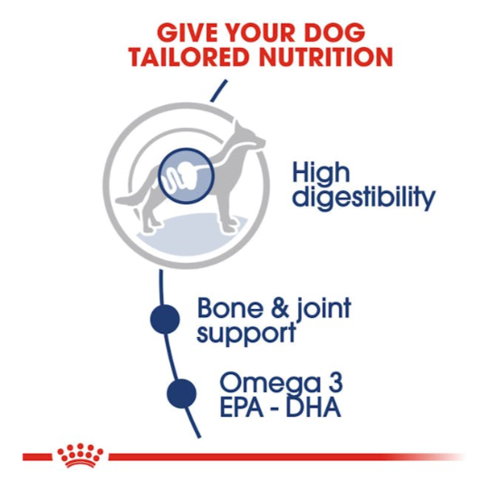 Royal Canin Size Health Nutrition Maxi Adult Dog Wet Food 140g x 10