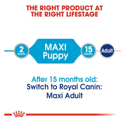 Royal Canin Size Health Nutrition Maxi Puppy Dog Wet Food 140g