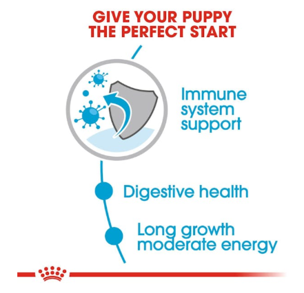Royal Canin Size Health Nutrition Maxi Puppy Dog Wet Food 140g