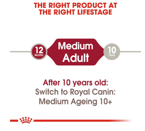 Royal Canin Size Health Nutrition Medium Adult Dog Wet Food 140g x 10