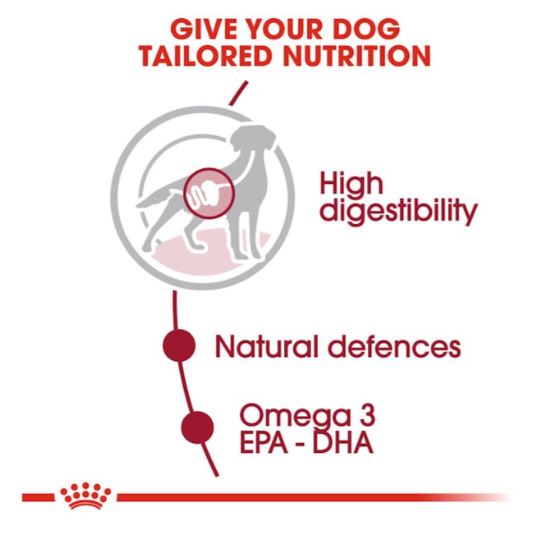 Royal Canin Size Health Nutrition Medium Adult Dog Wet Food 140g x 10