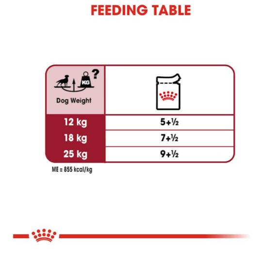 Royal Canin Size Health Nutrition Medium Adult Dog Wet Food 140g x 10