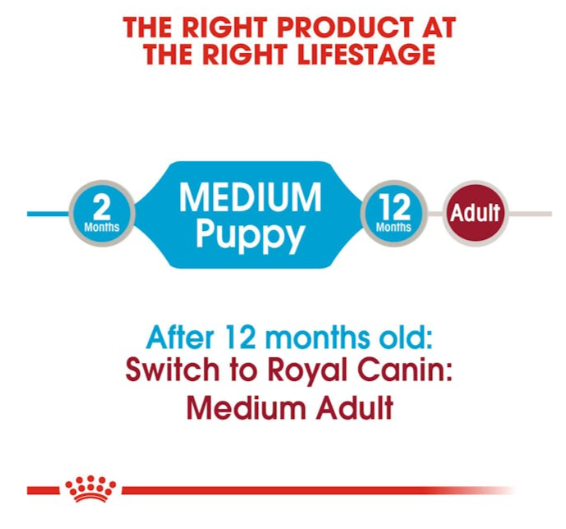 Royal Canin Size Health Nutrition Medium Puppy Dog Wet Food 140g