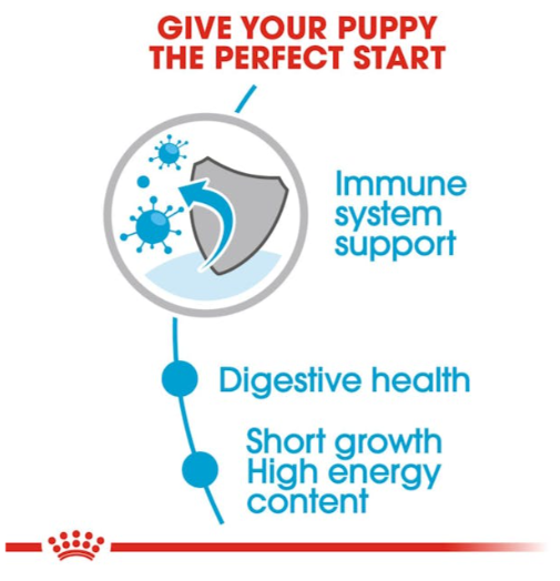 Royal Canin Size Health Nutrition Medium Puppy Dog Wet Food 140g