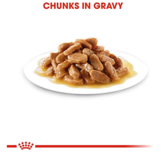 Royal Canin Size Health Nutrition Medium Puppy Dog Wet Food 140g
