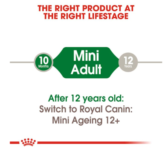 Royal Canin Size Health Nutrition Mini Adult Dog Wet Food 85g x 12