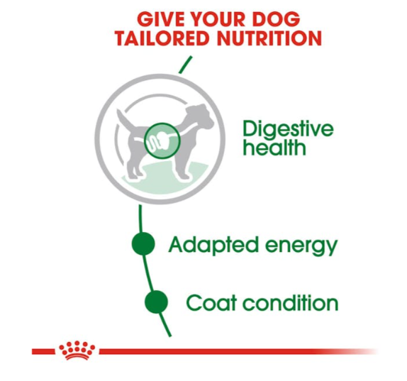Royal Canin Size Health Nutrition Mini Adult Dog Wet Food 85g x 12