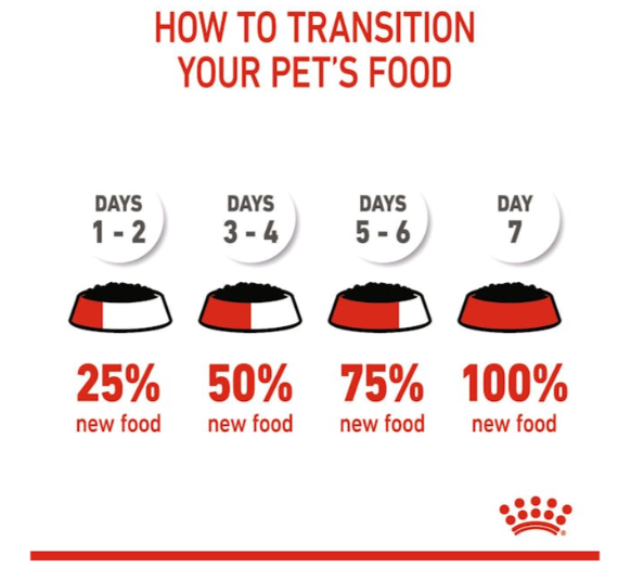 Royal Canin Size Health Nutrition X-Small Puppy Dog Wet Food 85g x 12