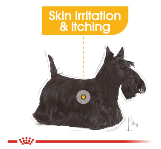 Royal Canin Canine Care Nutrition Mini Dermacomfort Adult Dog Dry Food 3kg