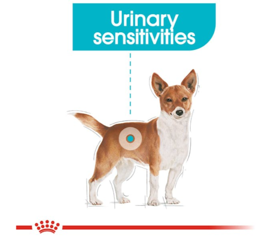 Royal Canin Canine Care Nutrition Mini Urinary Care Adult Dog Dry Food 1kg