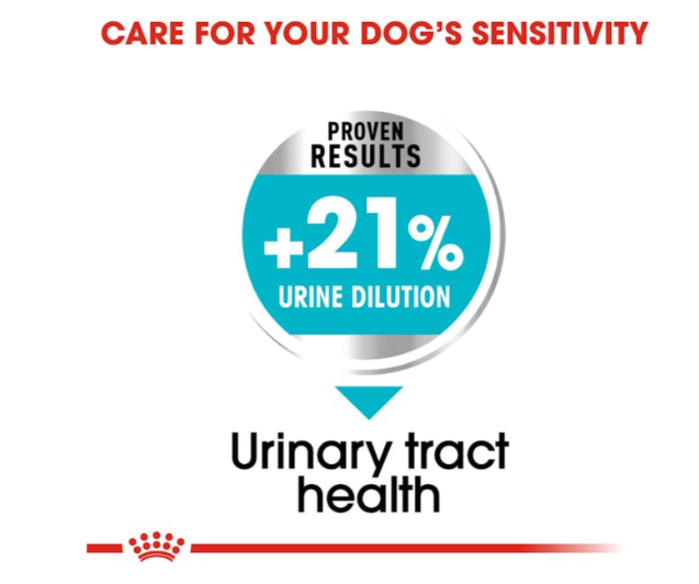 Royal Canin Canine Care Nutrition Mini Urinary Care Adult Dog Dry Food 1kg