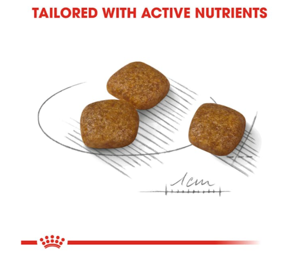 Royal Canin Canine Care Nutrition Mini Urinary Care Adult Dog Dry Food 1kg