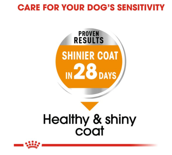 Royal Canin Canine Care Nutrition Mini Coat Care Adult Dog Dry Food 1kg