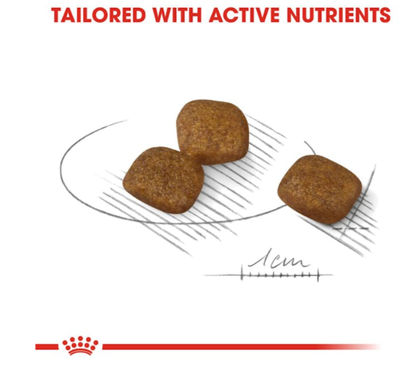 Royal Canin Canine Care Nutrition Mini Coat Care Adult Dog Dry Food 1kg