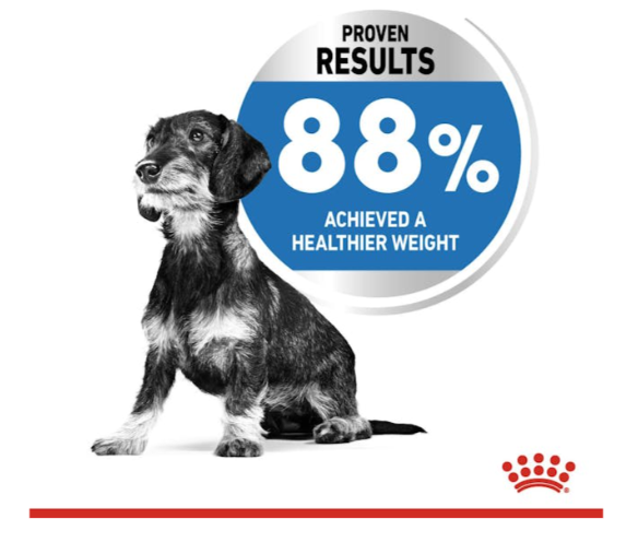 Royal Canin Canine Care Nutrition Mini Light Weight Care Adult Dog Dry Food 1kg
