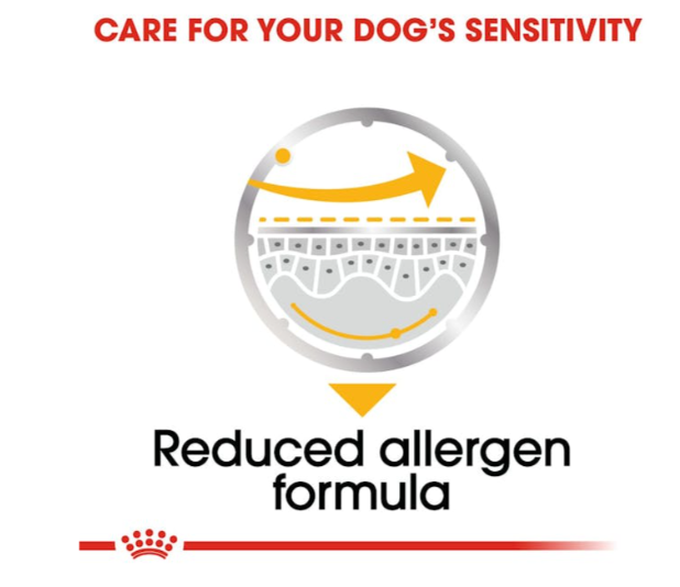 Royal Canin Canine Care Nutrition Dermacomfort All Sizes Dog Wet Food 85g x 12