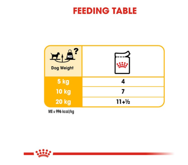 Royal Canin Canine Care Nutrition Dermacomfort All Sizes Dog Wet Food 85g x 12