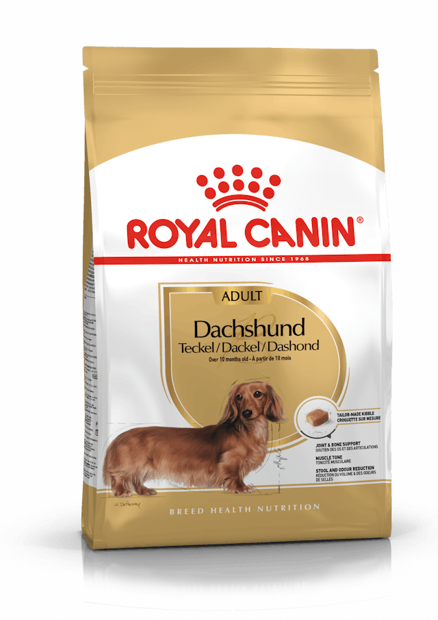 Royal Canin Breed Health Nutrition Dachshund Adult Dog Dry Food 500g