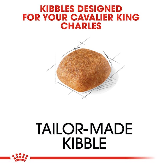 Royal Canin Breed Health Nutrition Cavalier King Charles Adult Dog Dry Food 1.5kg