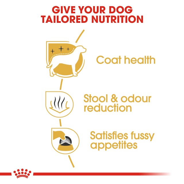 Royal Canin Breed Health Nutrition Maltese Adult Dog Dry Food 1.5kg