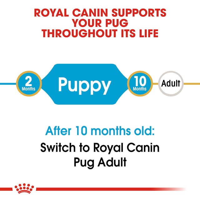 Royal Canin Breed Health Nutrition Pug Puppy Dog Dry Food 1.5kg