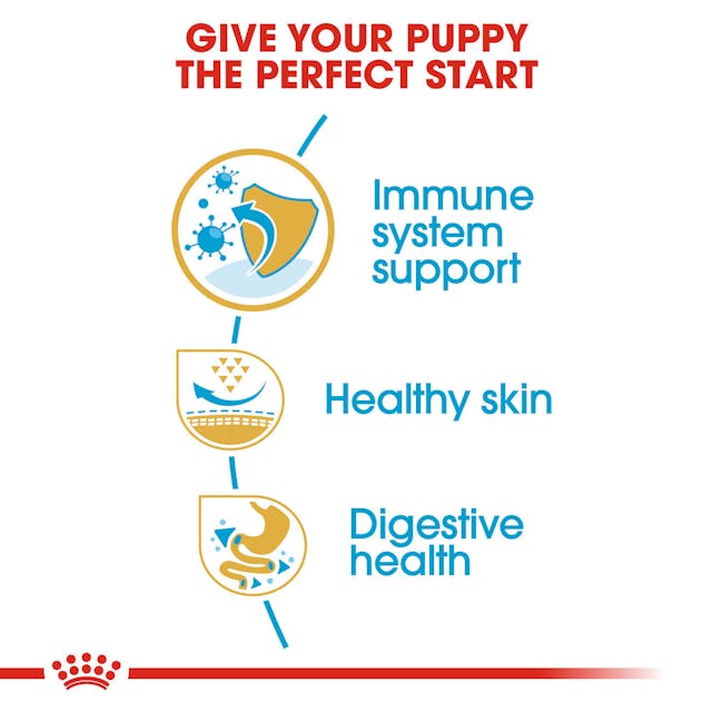 Royal Canin Breed Health Nutrition Pug Puppy Dog Dry Food 1.5kg
