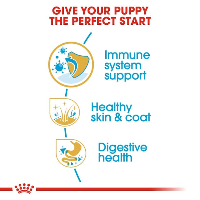 Royal Canin Breed Health Nutrition Shih Tzu Puppy Dog Dry Food 500g