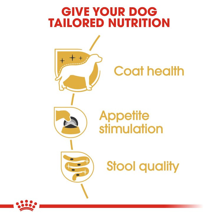 Royal Canin Breed Health Nutrition Yorkshire Terrier Adult Dog Wet Food 85g x 12