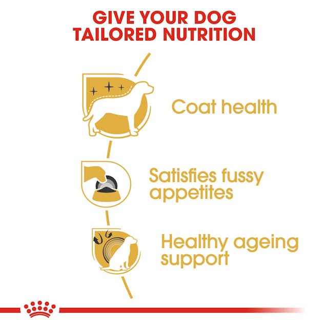 Royal Canin Breed Health Nutrition Yorkshire Terrier Adult Dog Dry Food 1.5kg