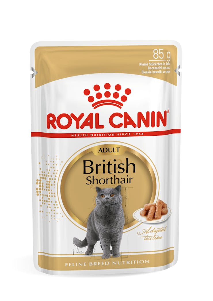 Royal Canin Feline Breed Nutrition British Shorthair Cat Wet Food 85g