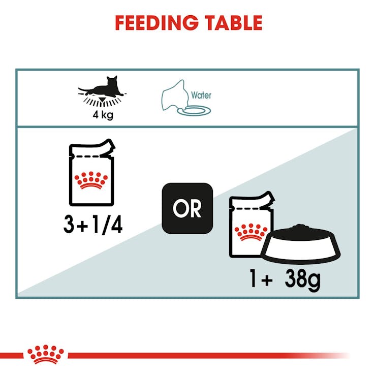 Royal Canin Feline Care Nutrition Hairball Care Adult Cat Wet Food 85g