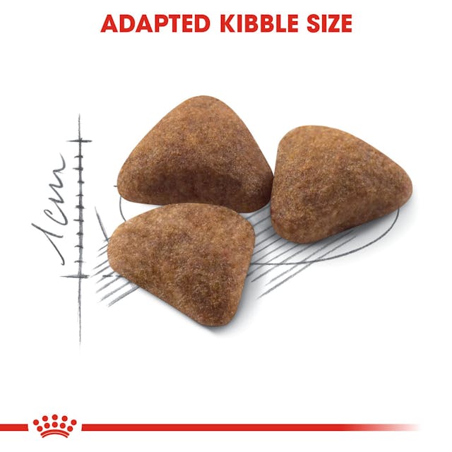 Royal Canin Feline Health Nutrition Indoor 27 Adult Cat Dry Food 2kg