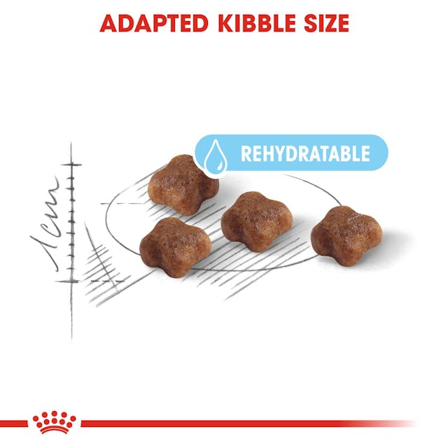 Royal Canin Feline Health Nutrition Mother & Babycat Dry Food 400g