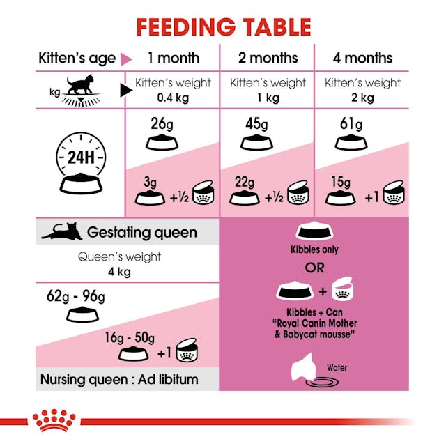 Royal Canin Feline Health Nutrition Mother & Babycat Dry Food 400g