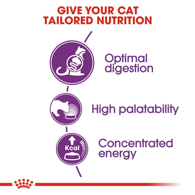 Royal Canin Feline Health Nutrition Sensible 33 Adult Cat Dry Food 4kg