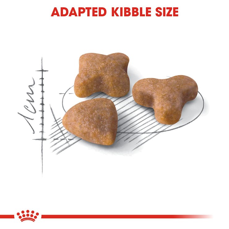 Royal Canin Feline Health Nutrition Sensible 33 Adult Cat Dry Food 4kg