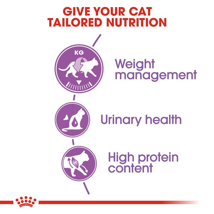Royal Canin Feline Health Nutrition Sterilised 37 Adult Cat Dry Food 400g