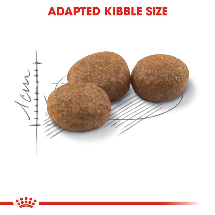 Royal Canin Feline Health Nutrition Sterilised 37 Adult Cat Dry Food 400g