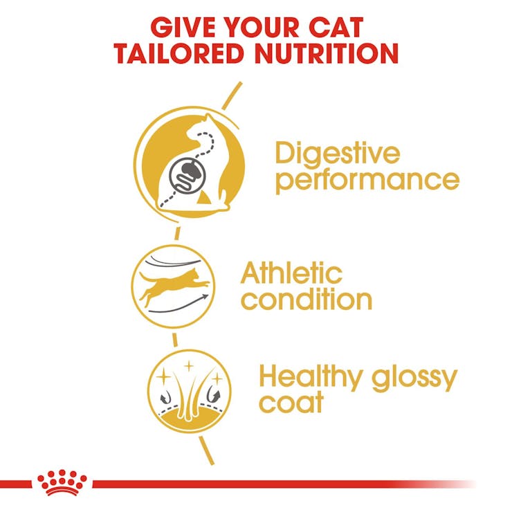 Royal Canin Feline Breed Nutrition Bengal Adult Cat Dry Food 2kg